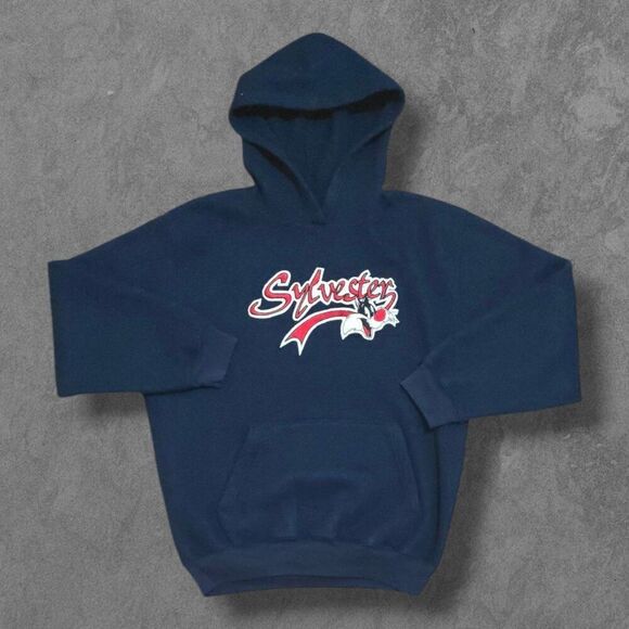 Vintage Sylvester Looney Tunes Pullover Hooded Embroidered Sweatshirt XL - Picture 1 of 5